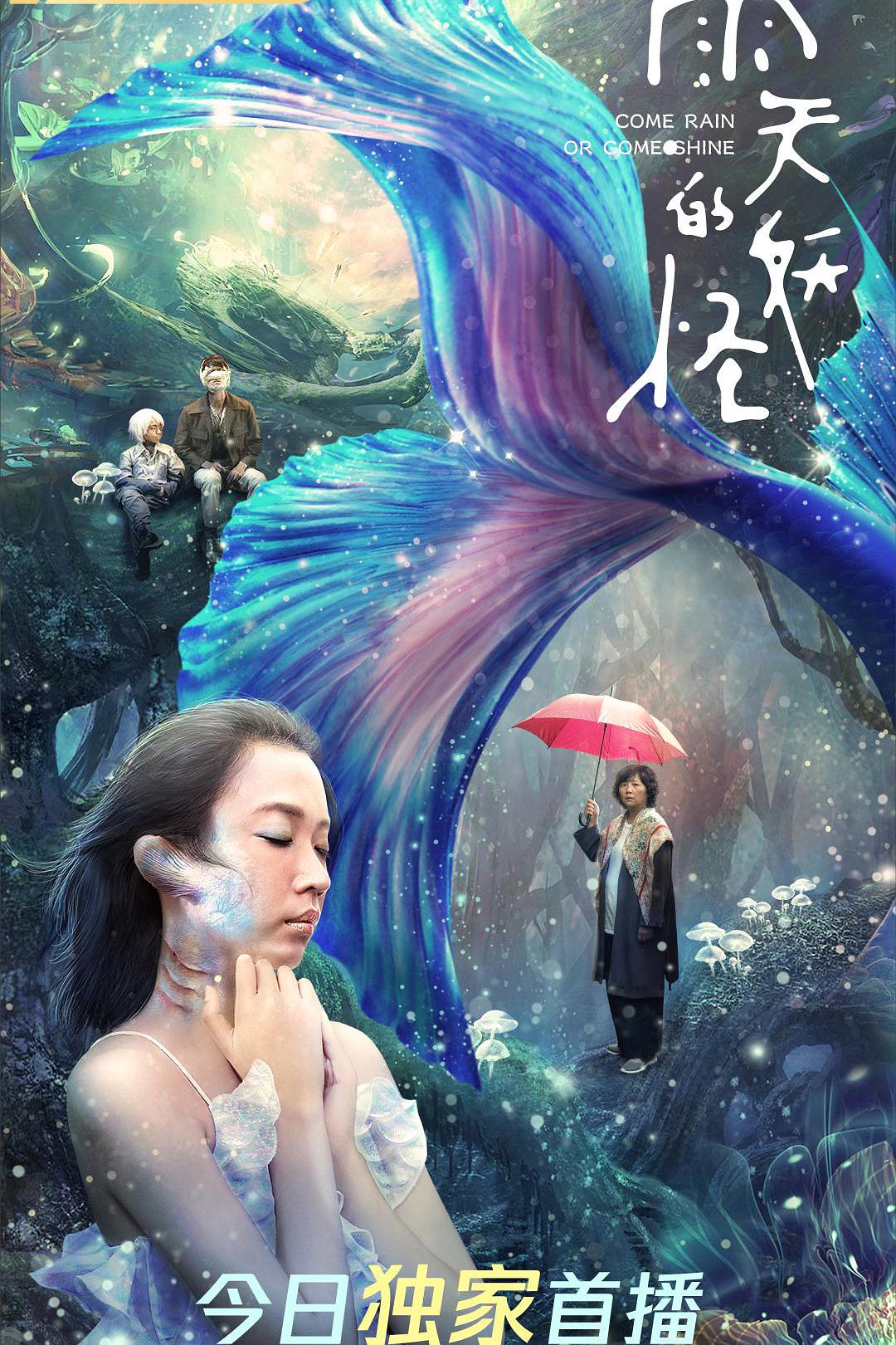 小蜜蜂寻亲记