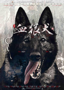 “龙争虎斗”神仙打架