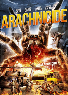 我最好朋友的婚礼