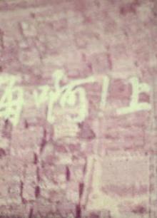 宠物小精灵第3季