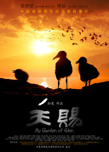 卫斯理之蓝血人